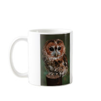 Baby Tawny Owl Coffee Mug