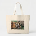 Baby Tiger cub lying down Tote Bag