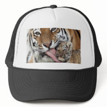 Baby Tiger Having a Bath Mesh Hats