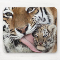 Baby Tiger Having a Bath Mousemat