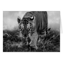 Baby Tiger stalking in Black and white Greeting Cards