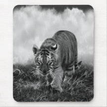 Baby Tiger stalking in Black and white Mouse Pad