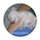 Baby Tired-Magnet.