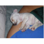 Baby Tired-Sculpture. Photo Cutout