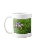 Baby Tortoise Coffee Mug