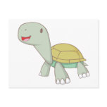 Baby Tortoise Post Card