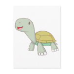 Baby Tortoise Post Cards