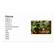 Baby Tree Frog in Bonsai plant with text Business Card Templates