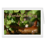 Baby Tree Frog in Bonsai plant with text Greeting Cards