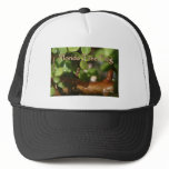 Baby Tree Frog in Bonsai plant with text Mesh Hats