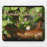 Baby Tree Frog in Bonsai plant with text Mouse Pad