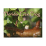 Baby Tree Frog in Bonsai plant with text Post Cards