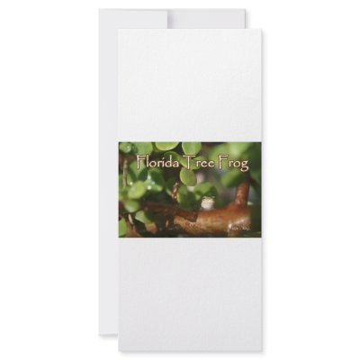Baby Tree Frog in Bonsai plant with text Rack Card by SusansZooCrew