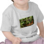 Baby Tree Frog in Bonsai plant with text T Shirt