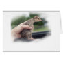 Baby turkey chick being held by a hand greeting cards