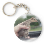 Baby turkey chick being held by a hand keychain