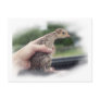 Baby turkey chick being held by a hand post card