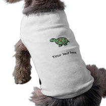 Baby turtle