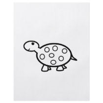 Baby turtle