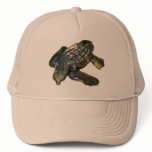 Baby Turtle Mesh Hats