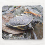 baby turtle mousepads
