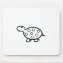 Baby turtle