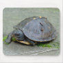Baby Turtle Mousepad