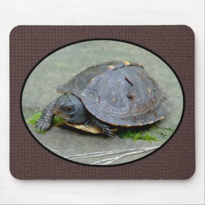Baby Turtle Mousepad 2 by natures_edge