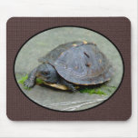 Baby Turtle Mousepad 2