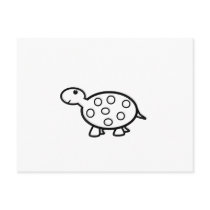 Baby turtle