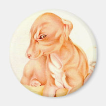 Baby Whippet - SUPER CUTE ! Magnets