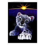 Baby White Tiger Cards