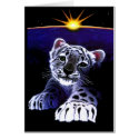 Baby White Tiger cards