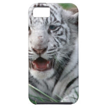 Baby White Tiger iPhone 5 Covers
