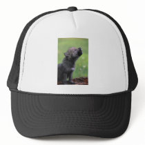 Baby Wolf Howls Mesh Hat