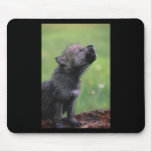 Baby Wolf Howls Mousepad