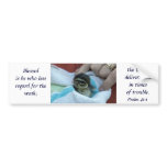 Baby Wood Duck bumper stickers