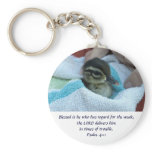 Baby Wood Duck Key Chains