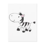 Baby Zebra postcards