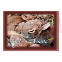 BAbyBunnies-any occasion-customise Card