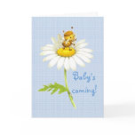Baby's coming! greeting cards