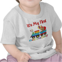 Baby's first birthday train tshirt