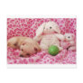 Baby's First Easter Postcards