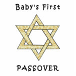 Baby's First Passover Acrylic Cut Outs