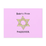 Baby's First Passover Postcard