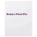 Baby's First Picture The MUSEUM Zazzle Gifts Flyers