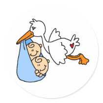 BABYSTORKTWINS