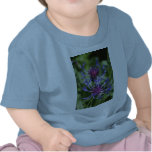 Bachelor Button Flowers Baby T-Shirt