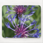 Bachelor Button Flowers Mouse Pad mousepads