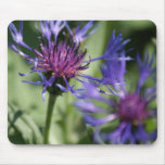 Bachelor Button Plant Mouse Pad